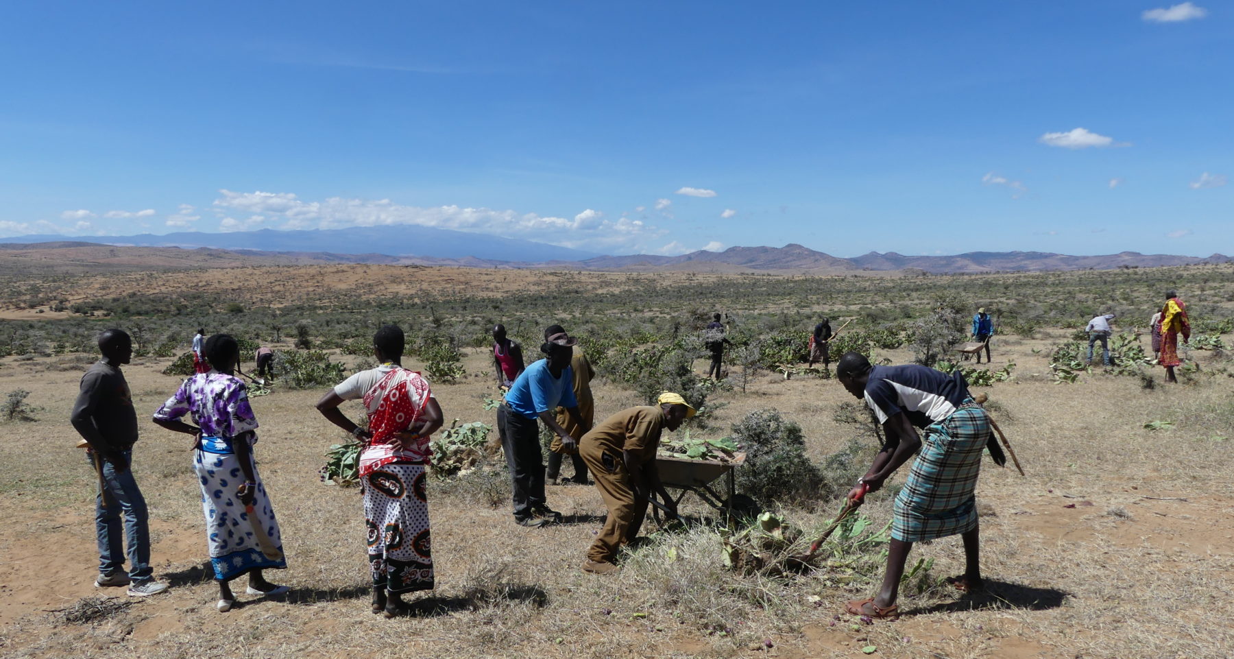 restoration-resource-center-rangeland-rehabilitation-through-invasive