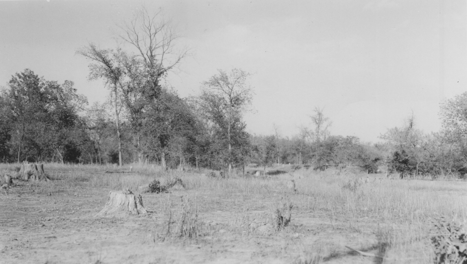 Restoration Resource Center Early Tallgrass Prairie Restoration at