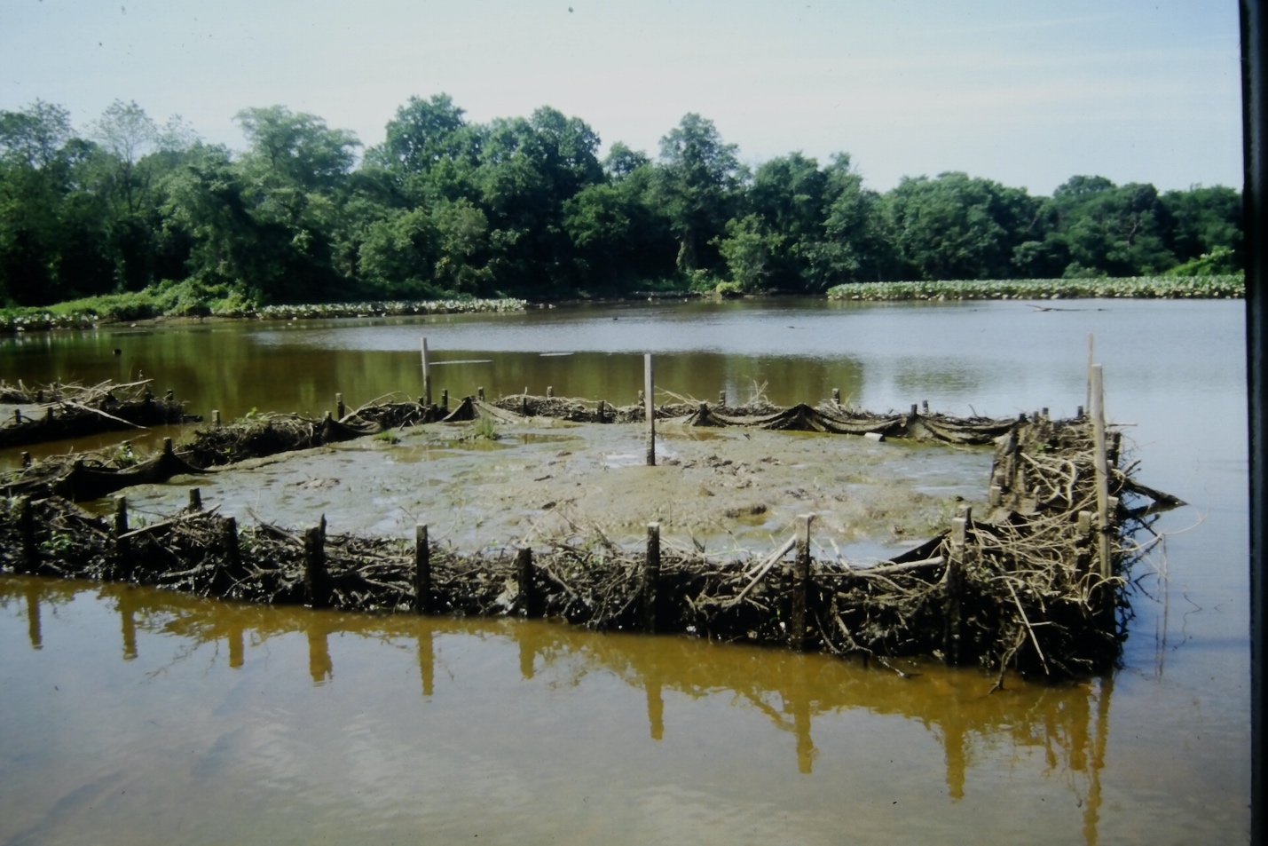 Restoration Resource Center Kenilworth Marsh Tidal Wetland Restoration ...